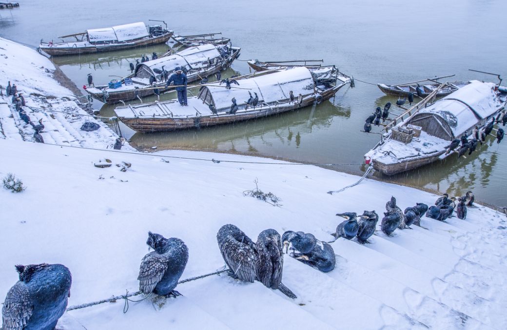 江西饶州的历史,饶州府城的文化记忆