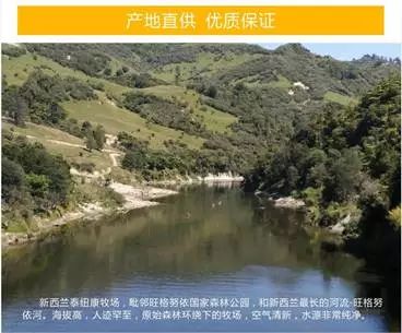 新西兰蜂蜜安全吗,新西兰蜂蜜为什么好