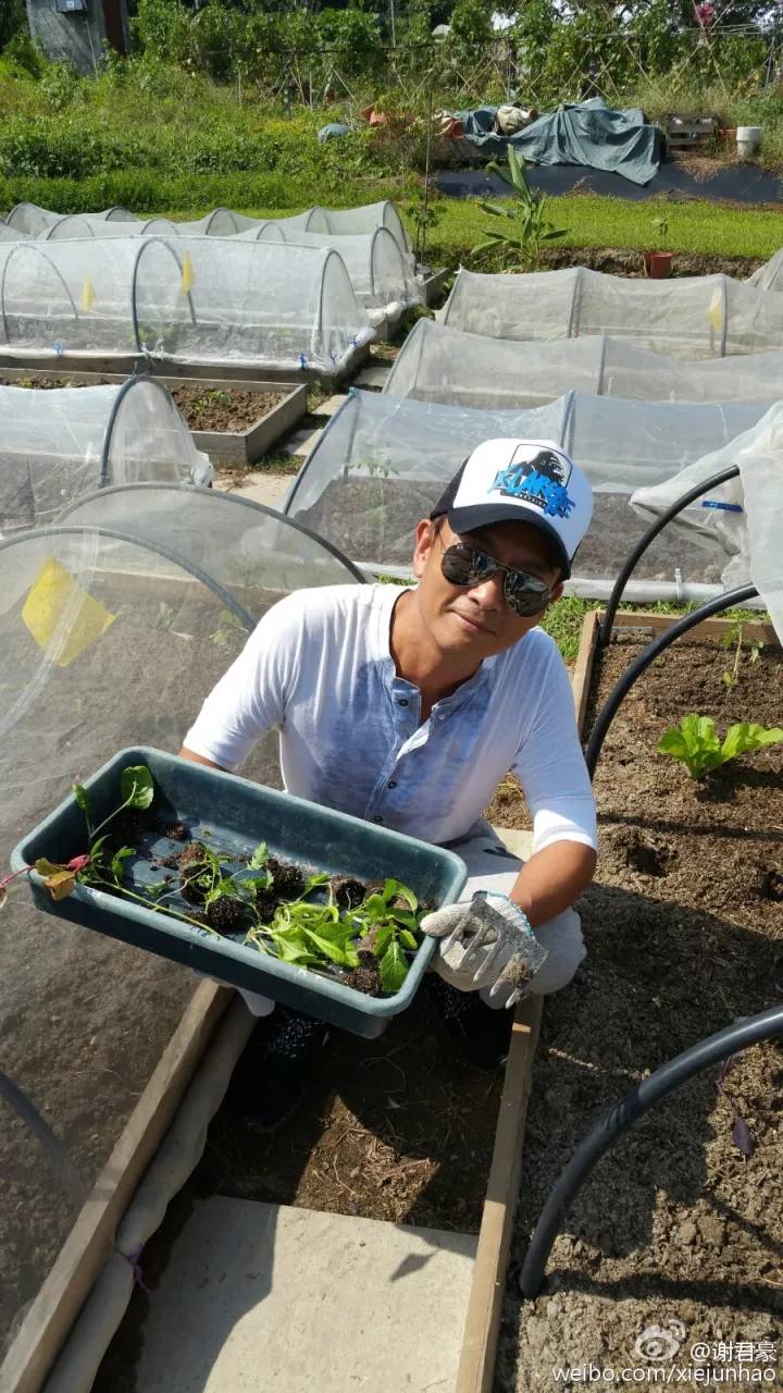 胡歌张国荣金马影帝,胡歌成长路上最重要恩师