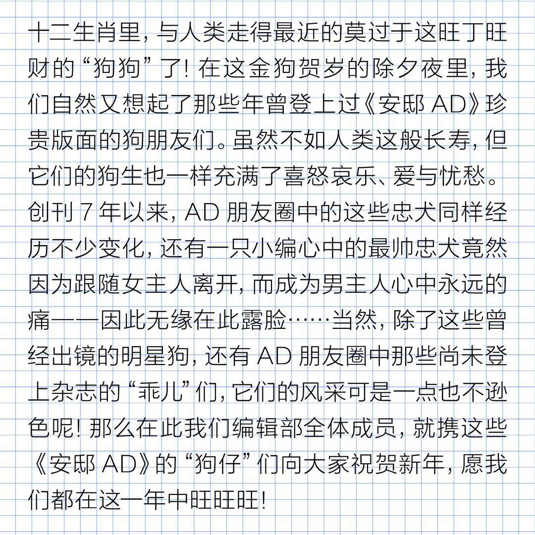 狗年除夕夜｜那些上过《安邸AD》的狗朋友们怎么样了？