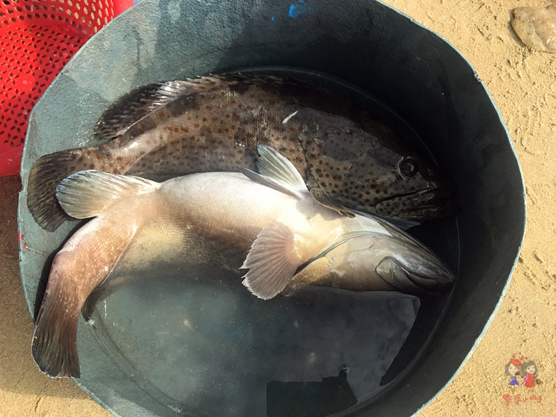 看我国仅次于死海和红海的最咸海区！吃比广东还好吃的烤乳猪！