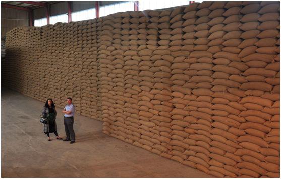 珍酒的来历,珍酒的来历简介