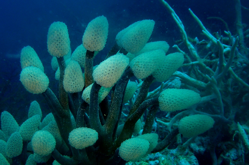 菲律宾科隆群岛游,菲律宾巴拉望科隆群岛自由行