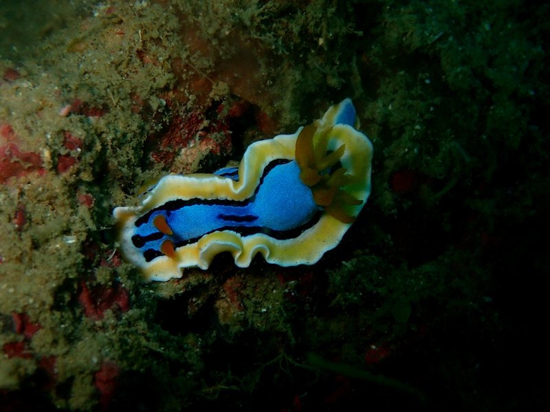 菲律宾科隆群岛游,菲律宾巴拉望科隆群岛自由行