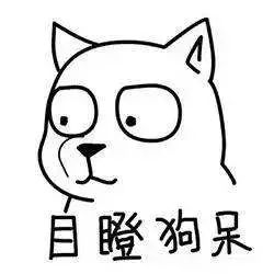 看完这些大牌的狗年定制，我都不想属狗了