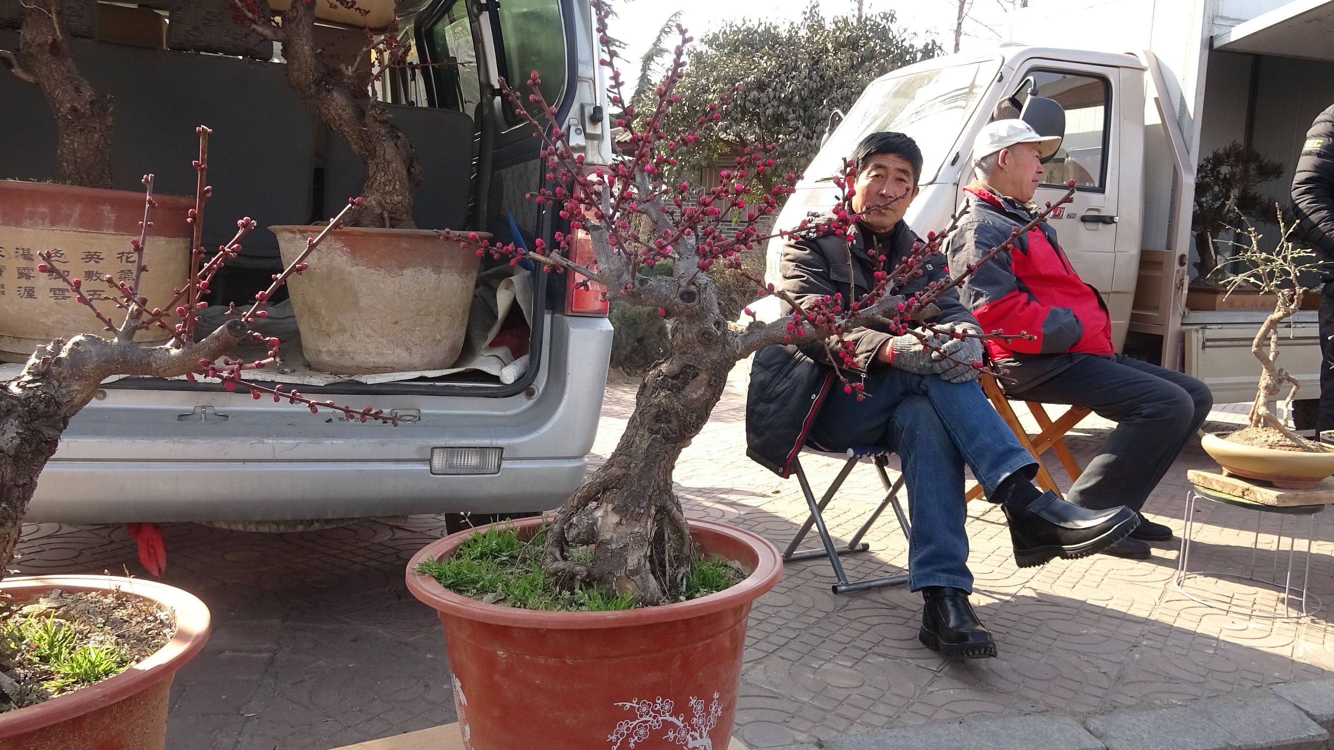 我的家乡集市,临朐县城大集