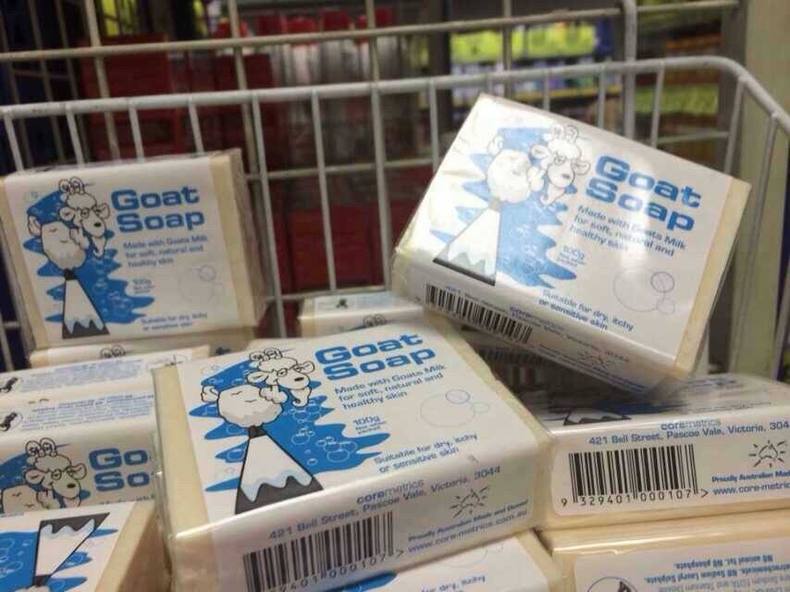 这只小山羊为什么敢跟狗较量,澳洲小山羊