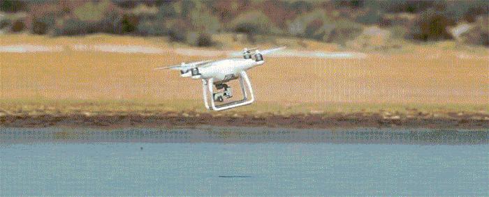 情人节送喜欢的人礼物推荐,情人节礼物攻略女生篇