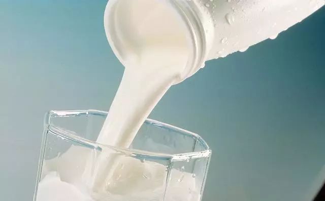 狗狗怀孕期注意事项有哪些,狗狗怀孕时应该注意些什么