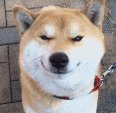 贵阳市高考成绩统计排名,2017年贵阳高中排名榜