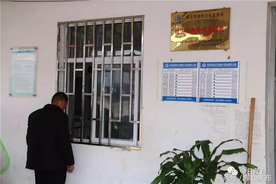 过年了，蒙自的这*猪种**肉千万别买！