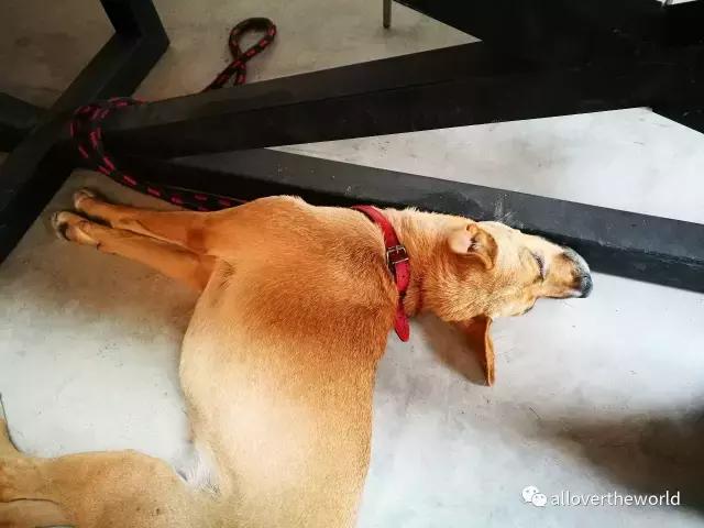 独行于缅甸，一瞥这众神国度