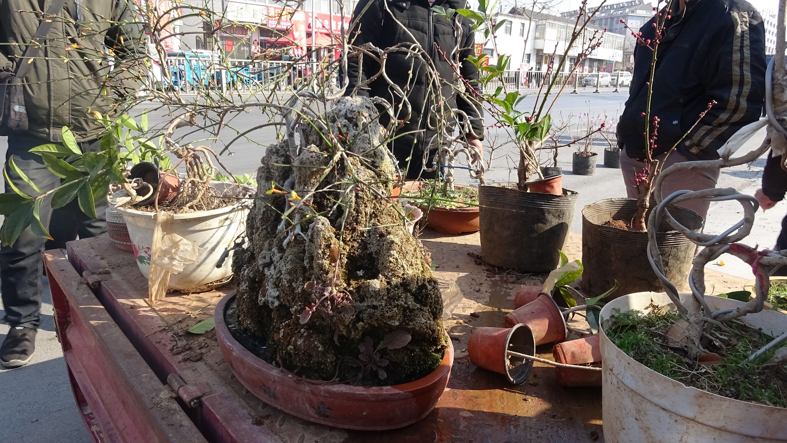 我的家乡集市,临朐县城大集