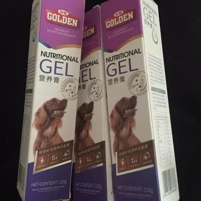 狗狗怀孕期注意事项有哪些,狗狗怀孕时应该注意些什么