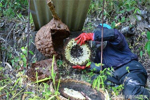 现在农村不起眼的商机有哪些,农村看起来很不起眼却很赚钱
