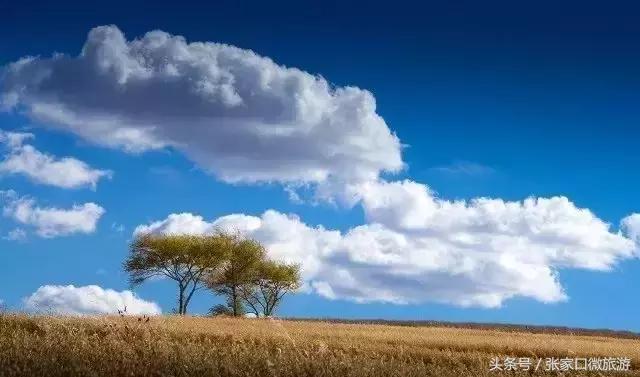 张北草原天路现在的景色,张家口张北草原天路攻略