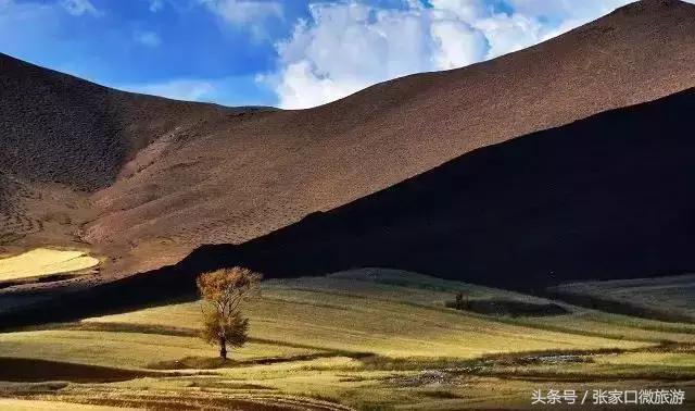 张北草原天路现在的景色,张家口张北草原天路攻略