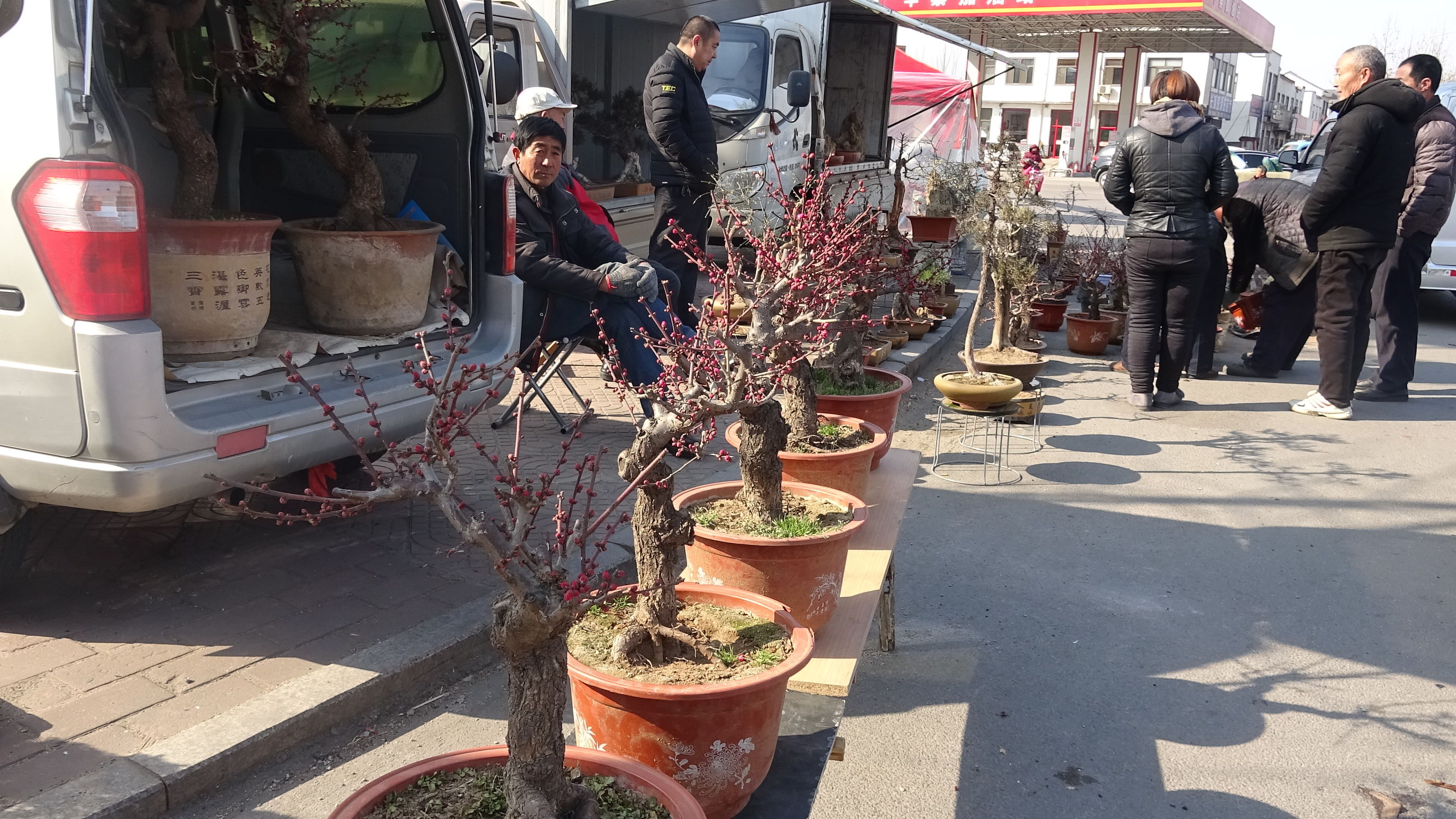 我的家乡集市,临朐县城大集