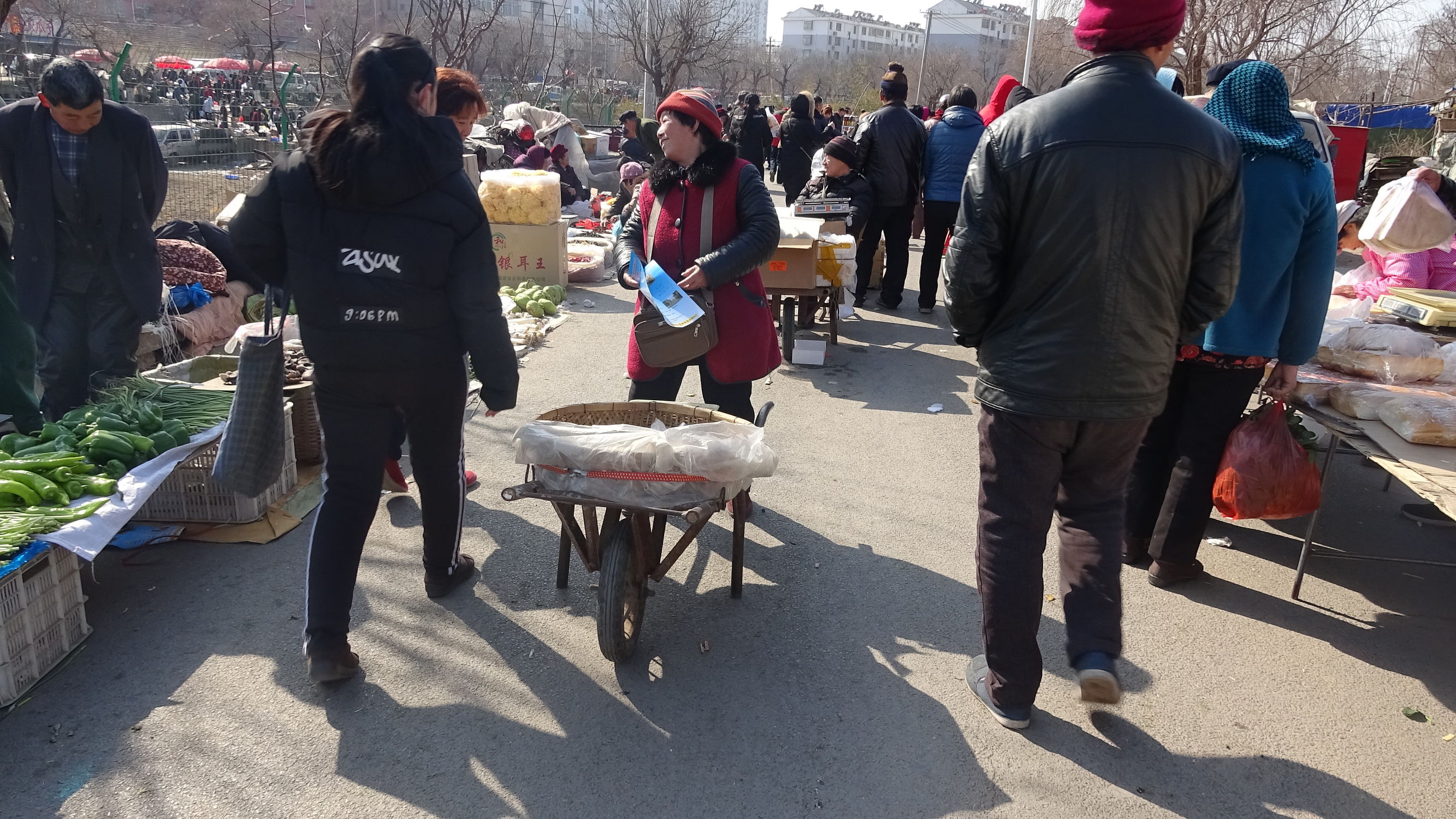 我的家乡集市,临朐县城大集