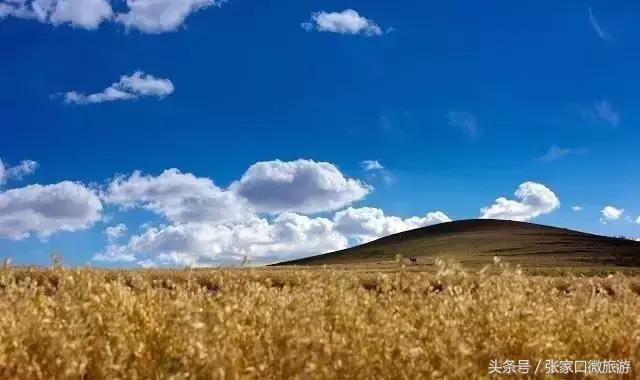 张北草原天路现在的景色,张家口张北草原天路攻略