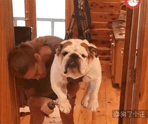 求生的意志力,冰淇淋求生秘籍