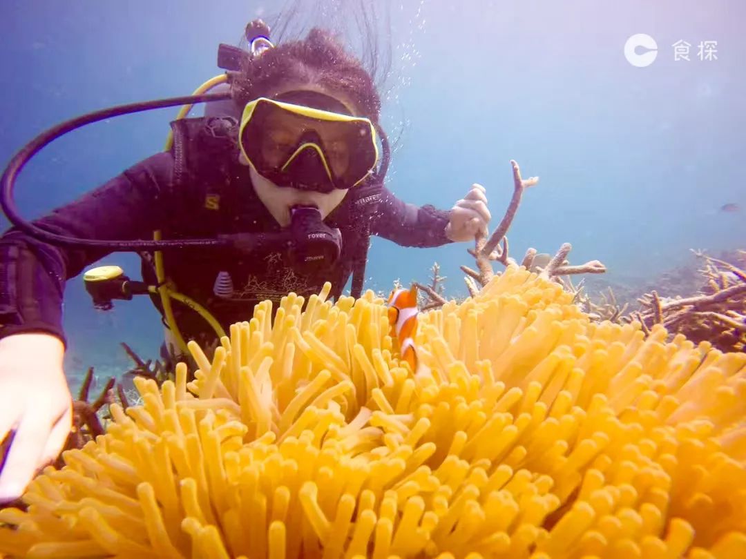 沙巴一日游必去的地方,沙巴旅行带你逛逛沙巴的海鲜早市