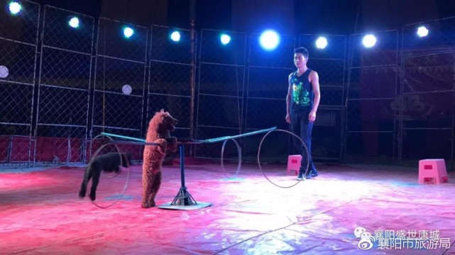 襄阳城市攻略,襄阳攻略图