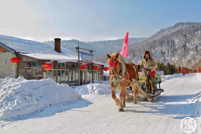 雪村雪乡,雪乡雪村