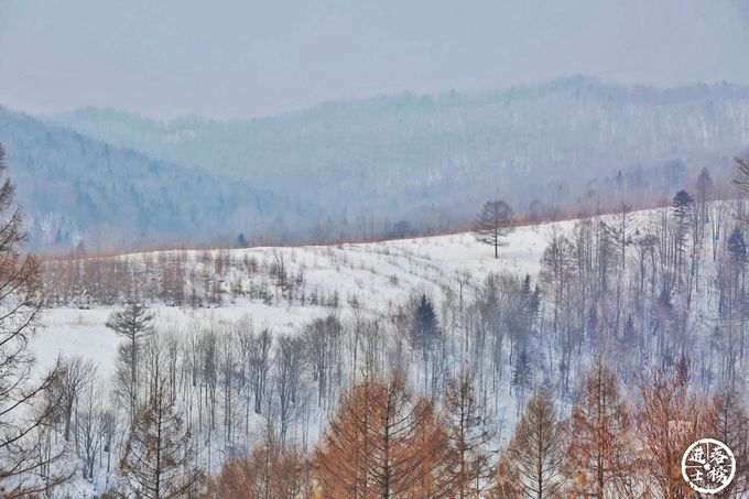 雪村雪乡,雪乡雪村
