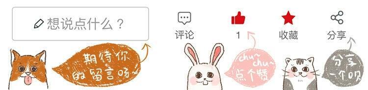 橘猫为什么容易养胖,橘猫如何不养胖