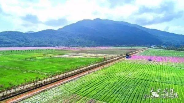 三亚新特惠活动,三亚优惠活动视频