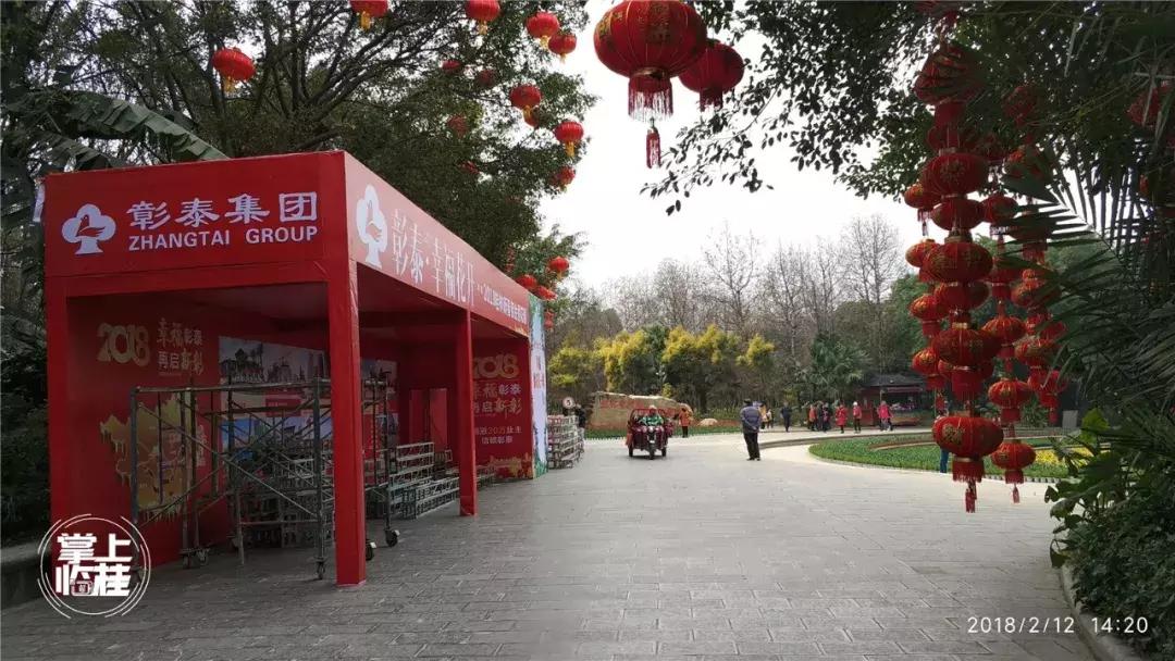 2020桂林訾洲公园郁金香盛开,桂林訾洲公园郁金香花期