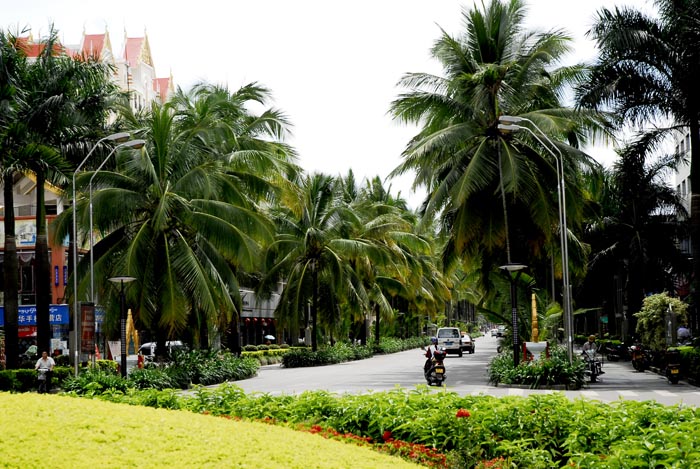 西双版纳景洪市地区简介,西双版纳傣乡纪行