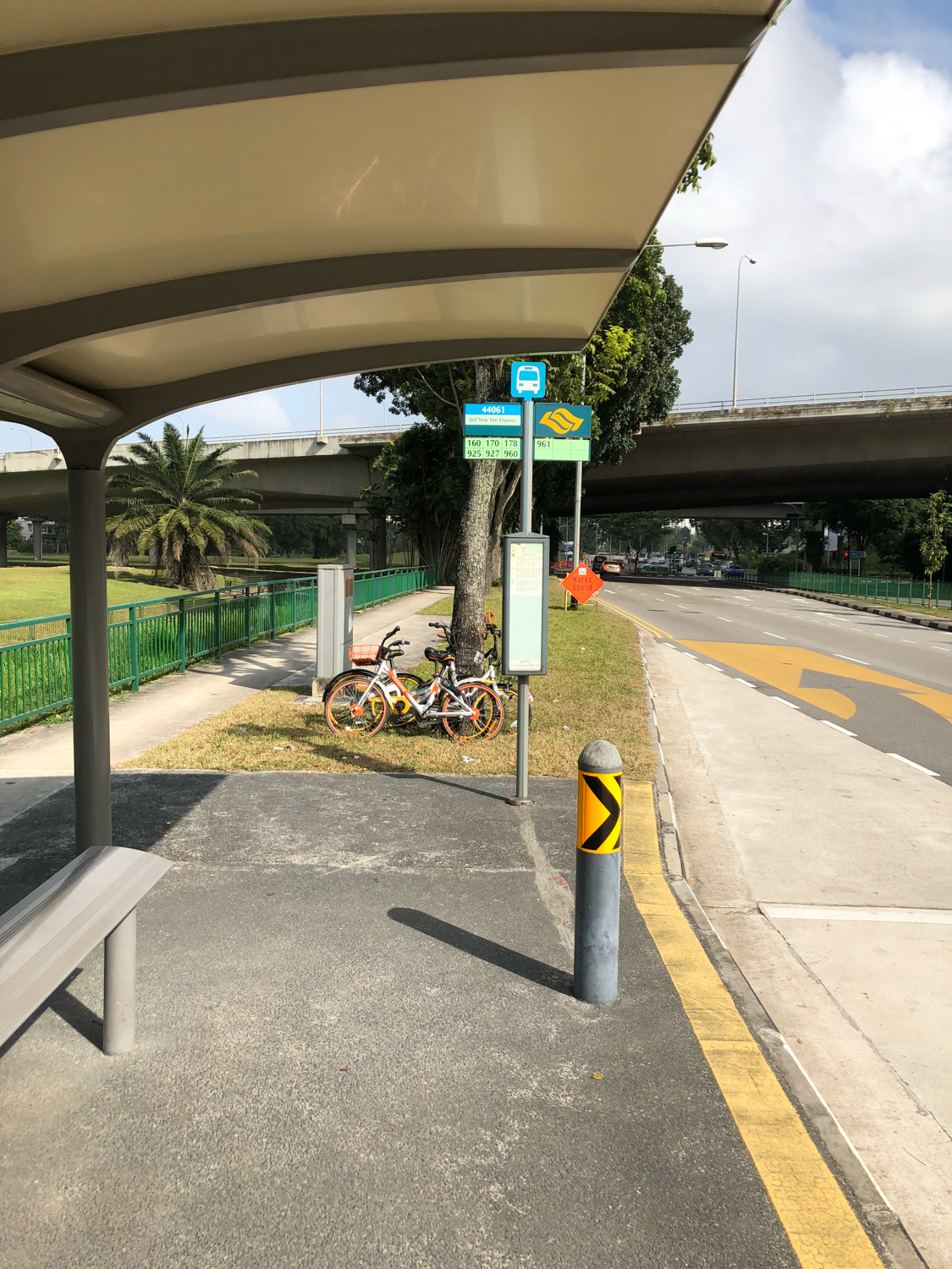 新加坡动物园哪个最值得去看,新加坡动物园自由行热门攻略