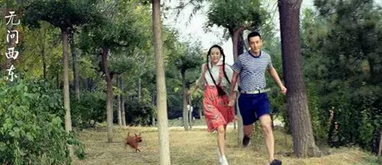 清华企业家协会无问西东,清华企业家创业故事无问西东