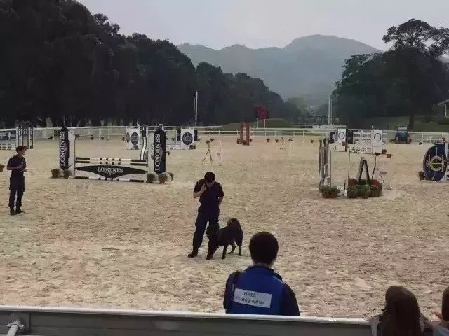 现实中的香港什么样,香港的真实社会