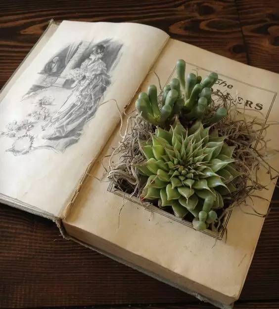 新的一年生活充满阳光,有一种生活叫有氧