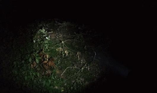 纳丽德强光手电筒测评,纳丽德e51与e52的区别