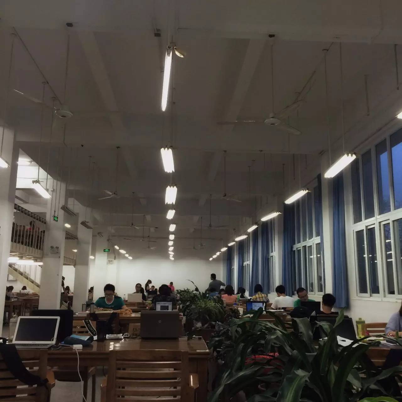 厦大上学是什么样的体验,厦大的真实生活