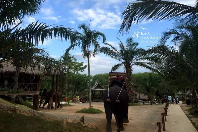 你知道泰国哪些东西很贵吗,泰国低价游玩真实感受