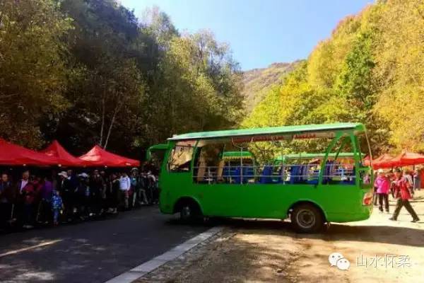 与花相约完整版,与花相约