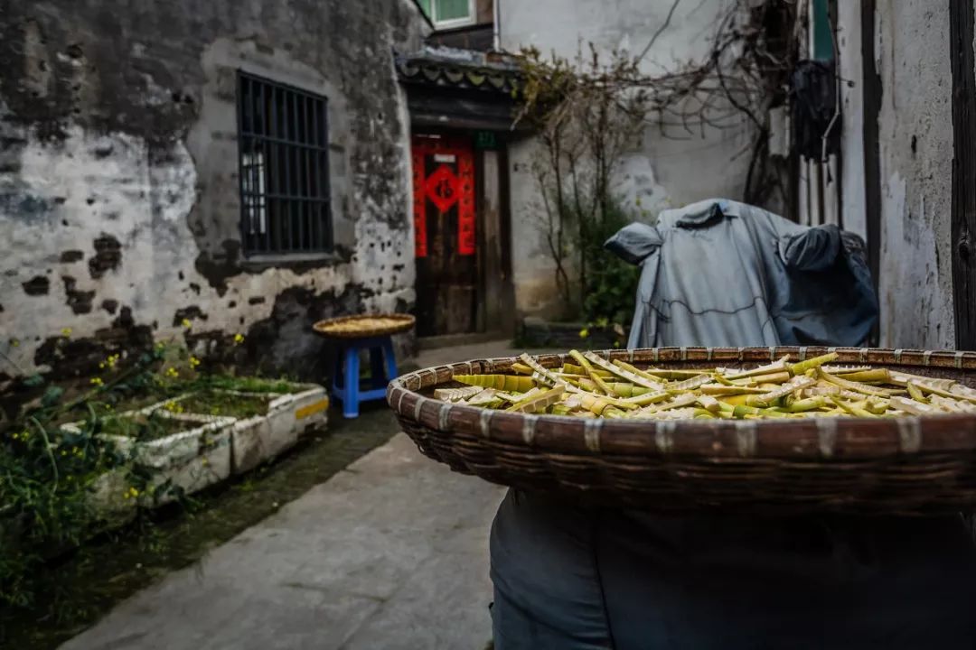 土著带你玩大连开发区,土著带你玩上海