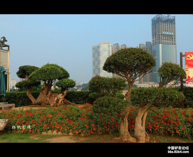 去寻找心中的另一个自己,等待遇见另一个自己