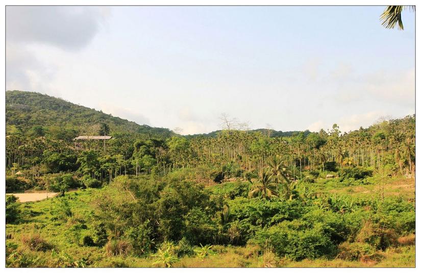 海南三亚的槟榔谷,三亚槟榔谷黎族原生态攻略