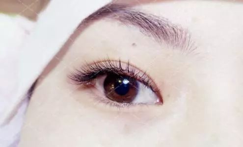 种睫毛下睫毛要不要做,种睫毛还是刷睫毛好
