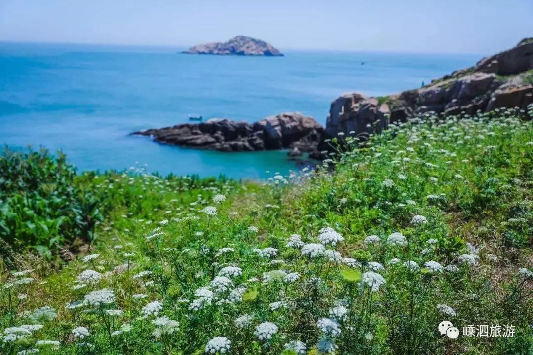 我有一座美丽的海岛,我有一座海岛免费下载