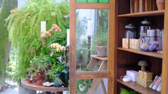 深度吃喝游记｜为什么我在台湾暴饮暴食了十天，却一斤都没长胖？