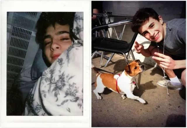 水形物语为什么能成为奥斯卡赢家,水形物语90届奥斯卡最佳影片