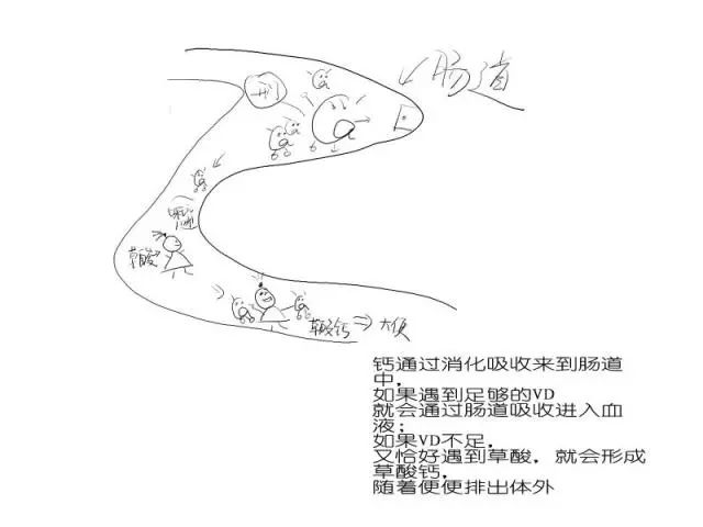 宝宝补钙一定要重视,宝宝补钙的10个必知