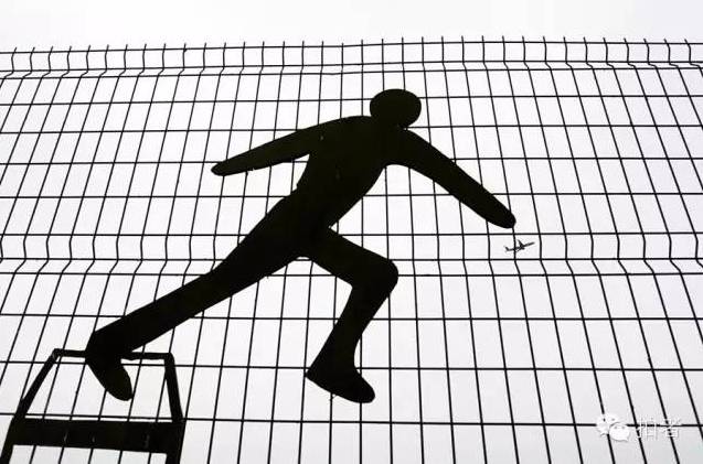 新京报两记者获金镜头奖，2015年他们还拍了哪些精彩图片？